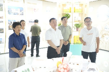 【長(zhǎng)田動(dòng)態(tài)】區(qū)政協(xié)黨組書(shū)記、主席呼廷貴一行蒞臨易豐農(nóng)業(yè)開(kāi)展專(zhuān)題調(diào)研?